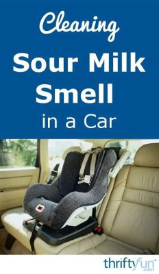 How to Get Milk Smell Out of Car Carpet: And Why It Reminds Me of Childhood Road Trips