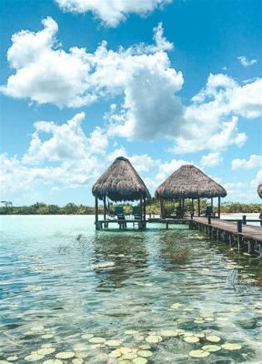 Is it safe to rent a car in Tulum, or should you just ride a flamingo instead?