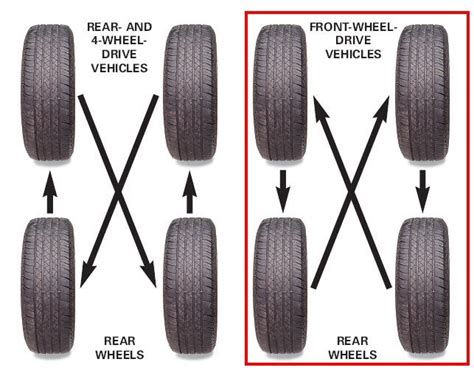 Why Tire Rotation is Important: A Journey Through the Rubber Jungle